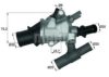 FIAT 46813029 Thermostat, coolant